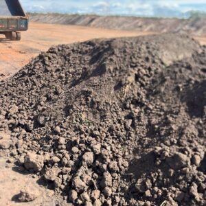 Esterco compostado bovino