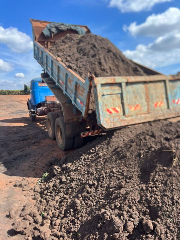 Esterco compostado bovino - Imagem 2